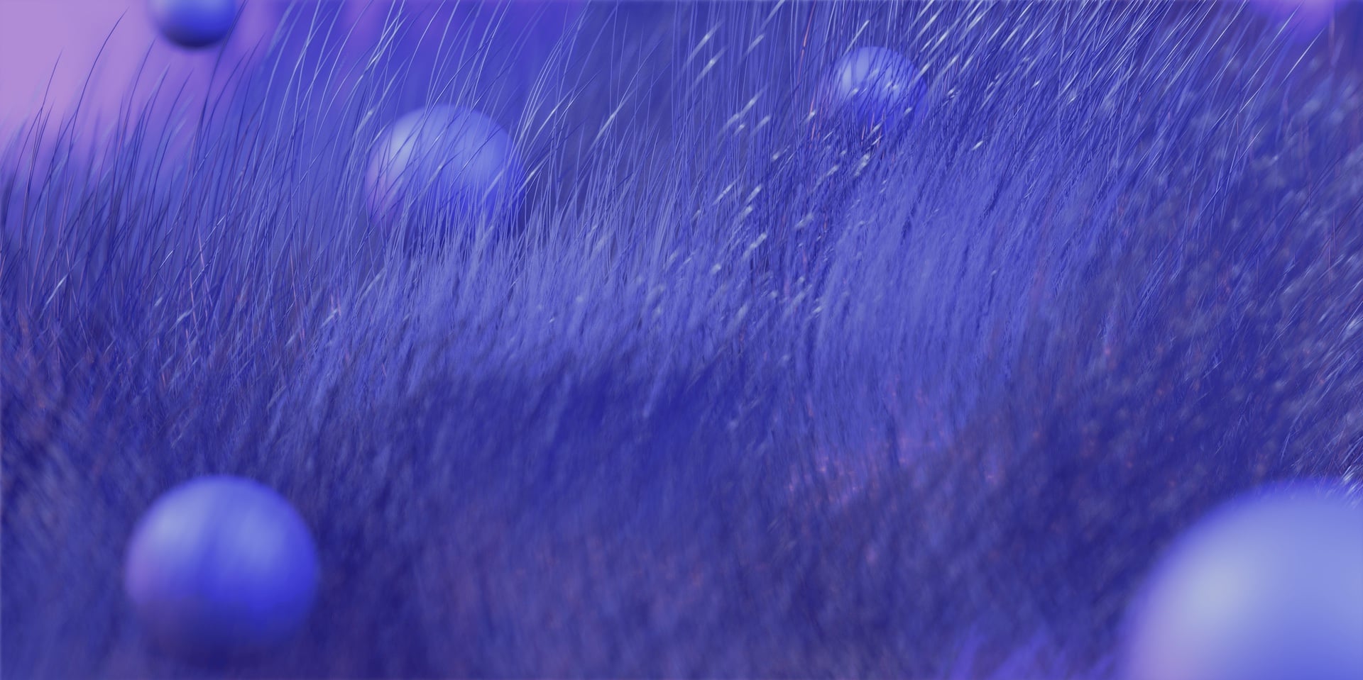 Close up of the final render, showing a landscape of violet fur with small spheres floating inbetween