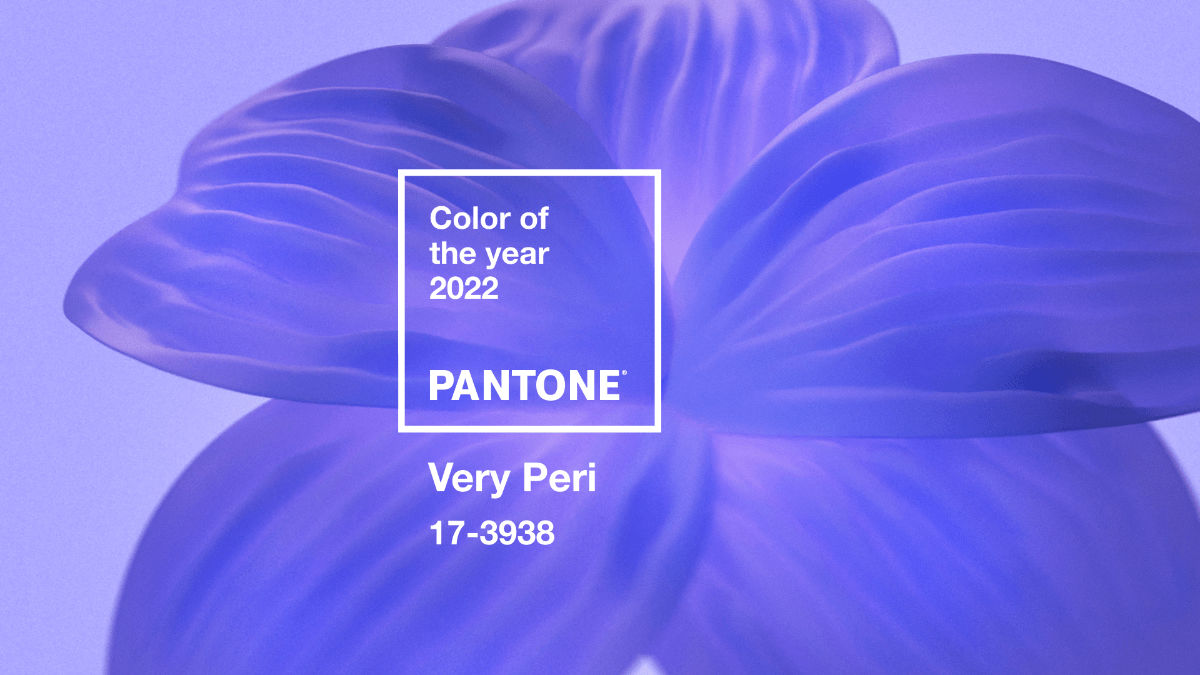 3D styleframe showcasing an abstract periwinkle flower and the Pantone lockup overlaid on top.